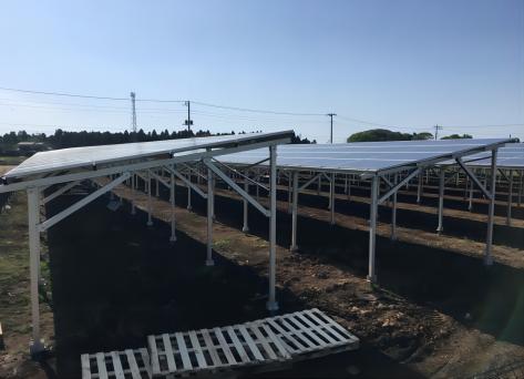 1.2MW ファーム太陽光発電システム